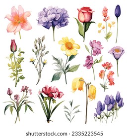 Flowers Material Art Various of Color