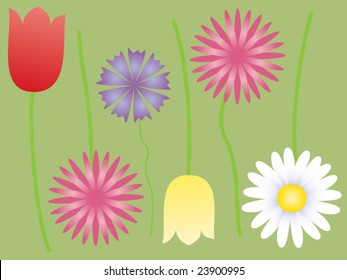 Flowers in the meadow