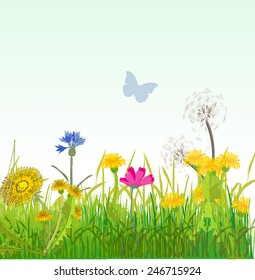 Flowers in meadow
