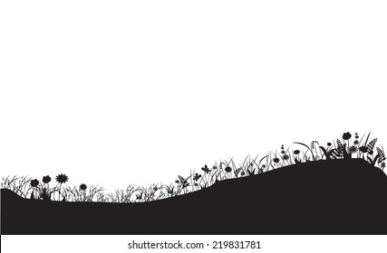 flowers meadow, black and white, plants shadows