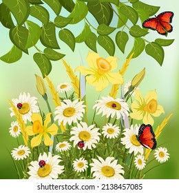 Flowers in a meadow in the illustration.Colored vector illustration with butterflies and flowers in the meadow.