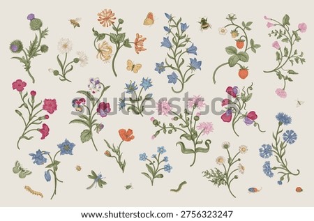Flowers of the meadow. Set. Vintage vector floral illustration. Motif. Inspired by hand embroidery. Colorful