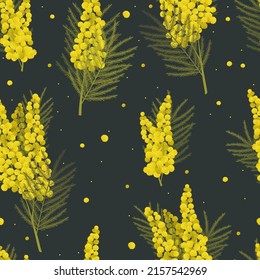 Flowers of mimosa on a dark background. Seamless pattern.