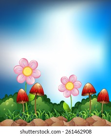Flowers and mushroom in the field