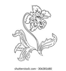 Flowers narcissus. Black outline on white background, vector illustration