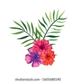 flowers natural with branches and leafs vector illustration design