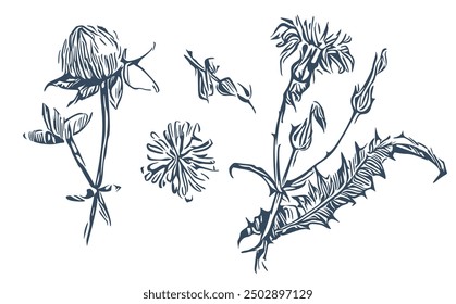 Flores al viejo estilo. Ilustración vectorial monocromática.