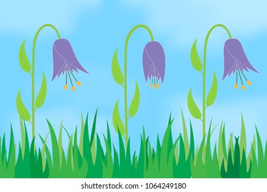 Flowers on the background of the sky.
