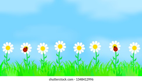 Flowers on the background of the sky.
