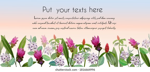 Flowers on banner for texts vector illustration