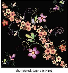 Flowers on a black background