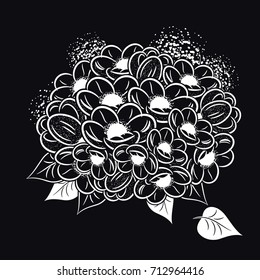 flowers on a black background