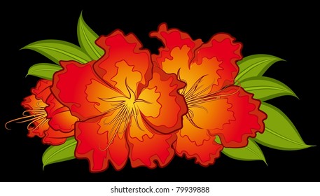 Flowers on black background