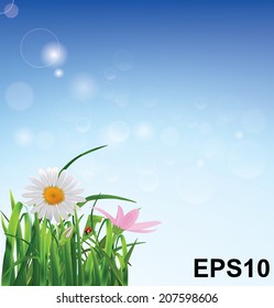 Flowers on blue background. Vector illustration 