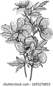 
Flowers on a branch. Beautiful flowers, botanical illustration. Vector illustration. Line graphic