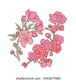 Flowers on a branch. Vector illustration. Stock vector. Sakura. Set of cherry flowers. Pink petals