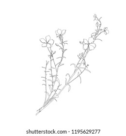 flowers on the branches. 