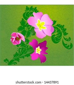 flowers on floral background