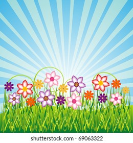 Flowers on the grass field