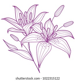 Flowers on a homogeneous background. Vector illustration