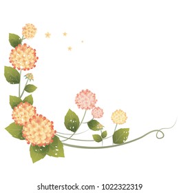 Flowers on a homogeneous background. Vector illustration