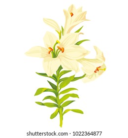 Flowers on a homogeneous background. Vector illustration