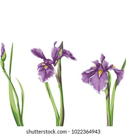Flowers on a homogeneous background. Vector illustration