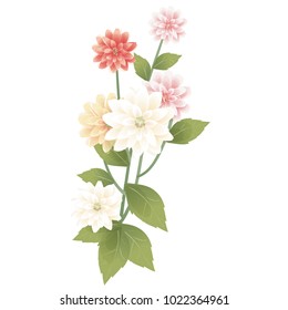 Flowers on a homogeneous background. Vector illustration