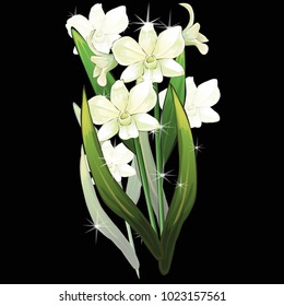 Flowers on a homogeneous background. Vector illustration