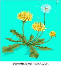 Flowers on a homogeneous background. Vector illustration