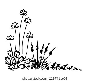 Flores en un tallo largo, lavanda, hierba, césped. Hierbas silvestres, plantas. Naturaleza y vegetación de verano. Esbozo simple de tinta vectorial. Figura con un contorno negro.