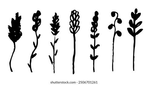 Flowers on long stems, wild plants, inflorescences. Nature and vegetation, floral elements. Simple vector drawing. Black outline.