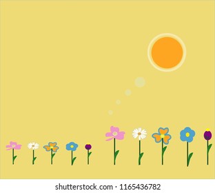 Flowers on orange background.