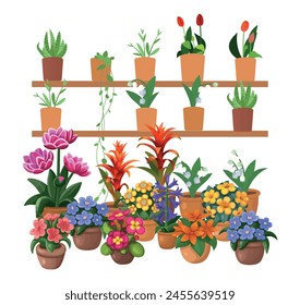  flowers are on the shelves. Large set of indoor plants and flowers. Set of flowers in pots on a white background, hand drawing vector in cartoon style.