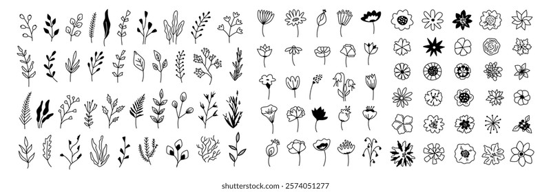 Flowers on stems, inflorescences and branches with leaves. Vector blooming wildflowers and forest flowers, seasonal flora in grunge style. Monochrome outline of diversity of flourishing vegetation