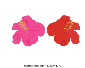 Flores sobre un fondo blanco.