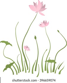 Flowers on white background.