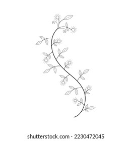 flores de fondo blanco. Dibujo a mano de la ilustración flowersvector.