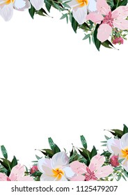 flowers on white background. postcard or invitation card.