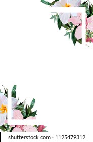 flowers on white background. postcard or invitation card.