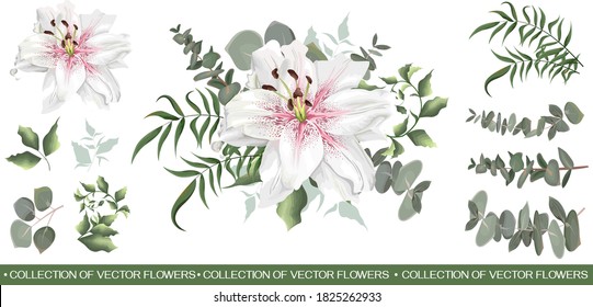 Flowers white background  Royal white lilies  Green plants   leaves  Greenery isolated white background 