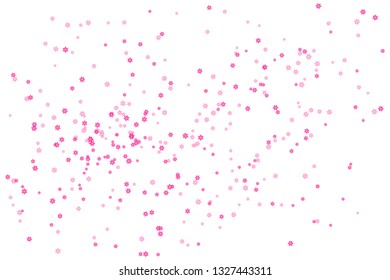 Flowers on white background. Template for design