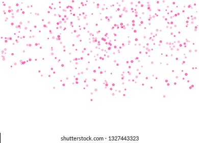 Flowers on white background. Template for design