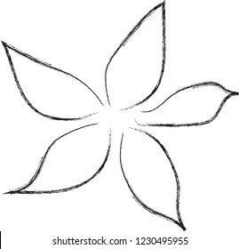 flowers on white background vector illustration