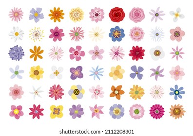 Flowers on white background vector illustration