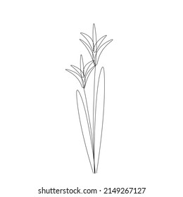 Flowers on white background vector illustration