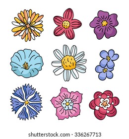 Flowers on white background. Vector flowers and floral elements.