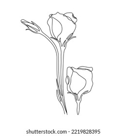 Flowers one line art. Lisianthus one line drawing. Minimalist art.