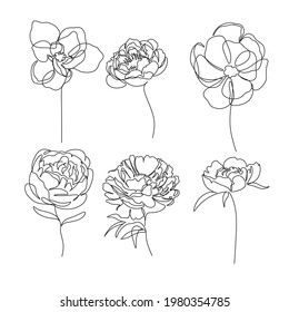Flores de un vector de arte de una línea. Diseño de líneas botánicas minimalista