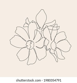 Flowers one line art vector. Botanical line drawing minimalist